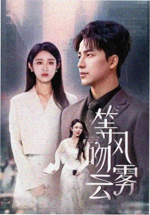 电视剧在线观看《雾港迷局》犯罪剧剧照